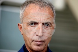 Давид Фернандес - брифинг