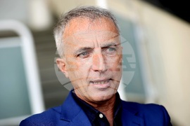 Давид Фернандес - брифинг