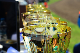 Село Севар - коне - състезание