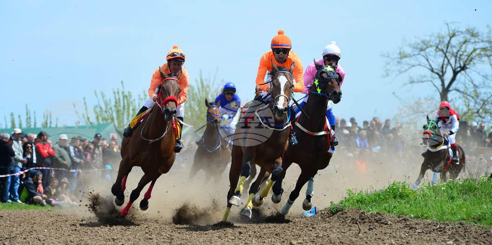 Село Севар - коне - състезание