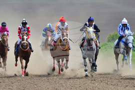 Село Севар - коне - състезание