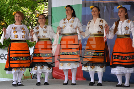 Видин - кулинарно-фолклорен фестивал “Гергьовден“