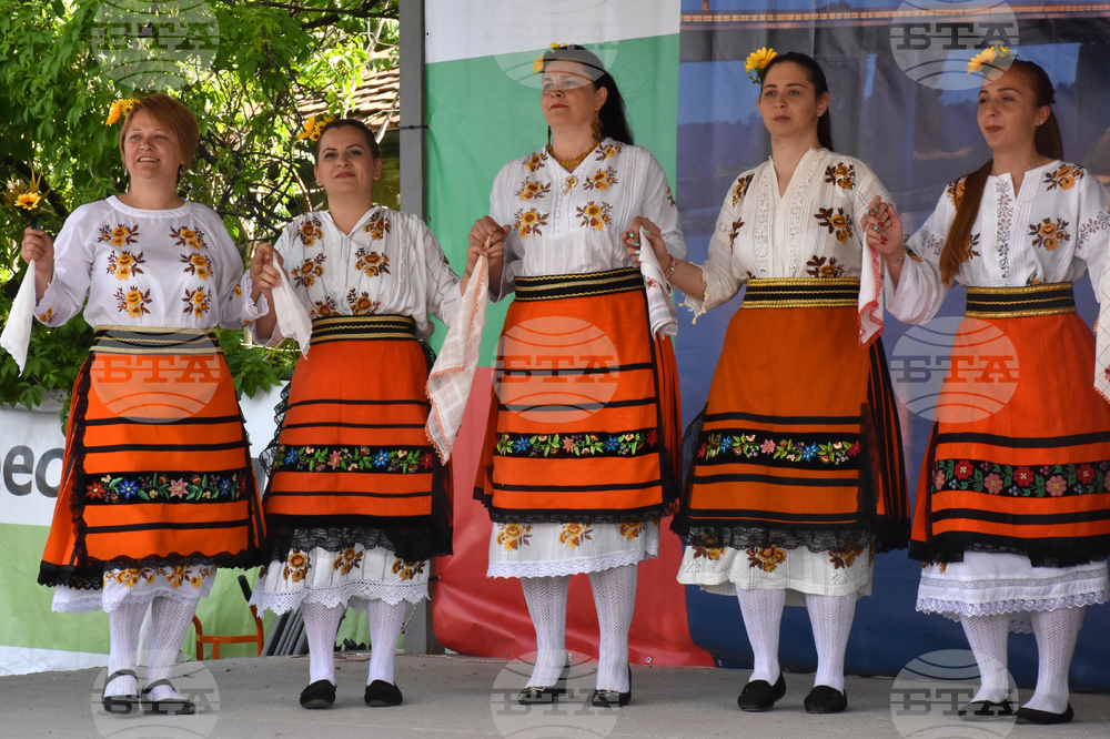 Видин - кулинарно-фолклорен фестивал “Гергьовден“