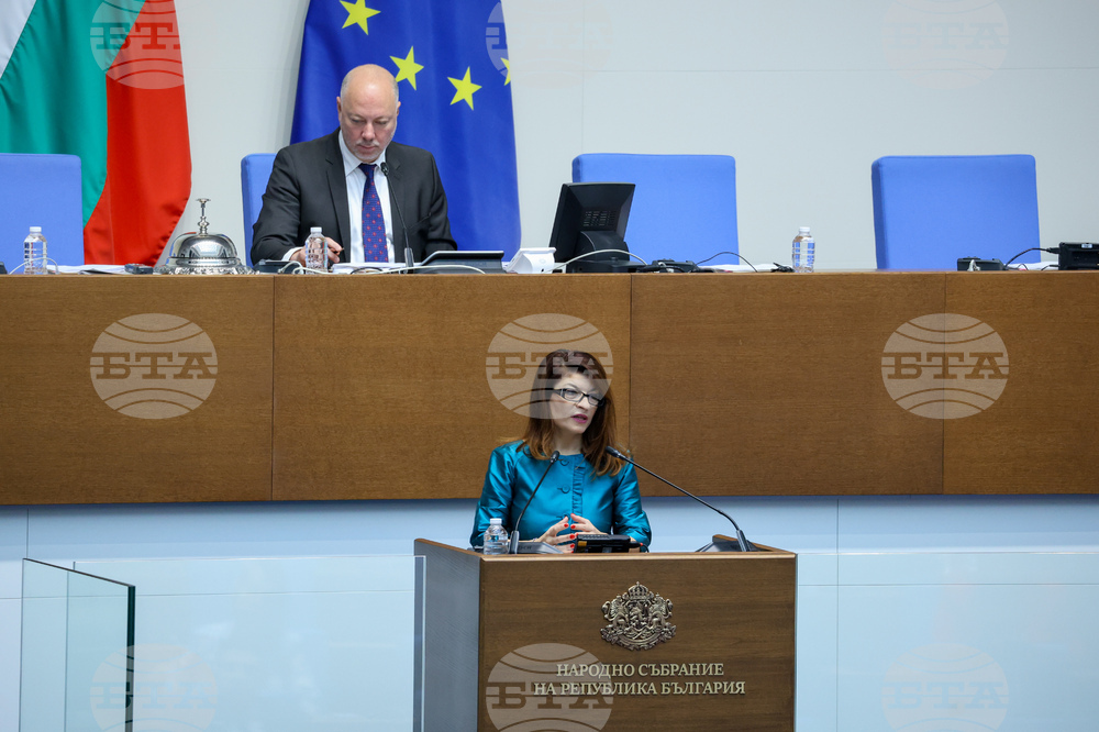 Парламент - заседание - Десислава Атанасова