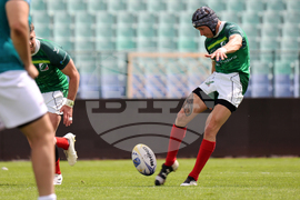 Ръгби - Европейска квалификация