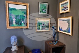 Варна - изложба живопис - Надя Петрова