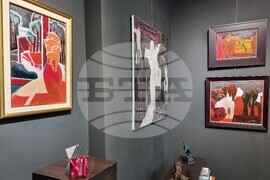 Варна - изложба живопис - Надя Петрова