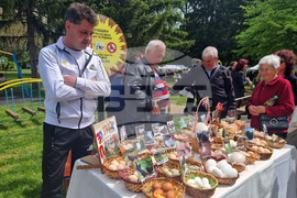 Павликени - Празник на яйцето