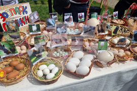 Павликени - Празник на яйцето