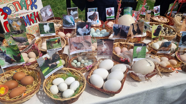 Група „Молец“, Стенли, Керана и шеф Станислав Иванов ще се включат в 13-ия Празник на яйцето в Павликени в началото на май