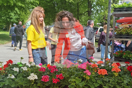 Павликени - Празник на яйцето