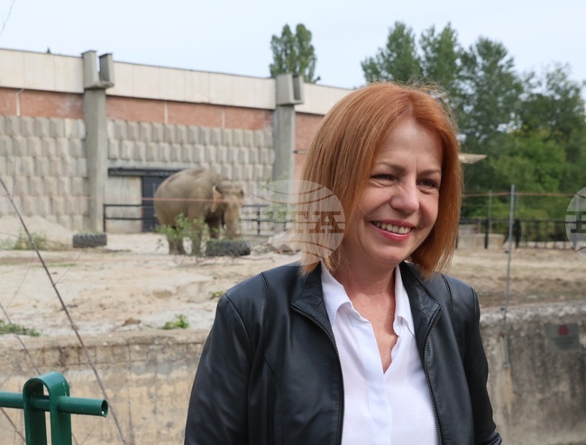 Зоопарк - слоновете Фрося и Луиза - нови обитатели 