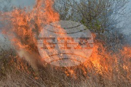 Хасково - пожар