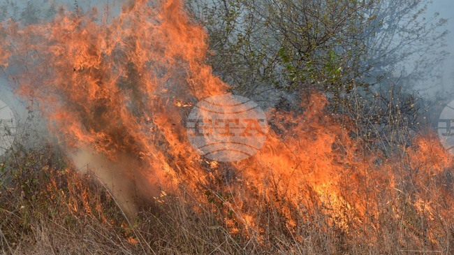 Пожарникарите в Ловешка област са реагирали на 40 сигнала за произшествия през почивните дни