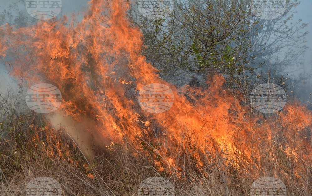 Общо 13 пожара са възникнали заради бурята миналата нощ в Димитровградско, съобщи кметът Иво Димов 