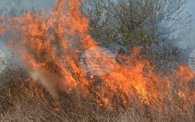 Общо 13 пожара са възникнали заради бурята миналата нощ в Димитровградско, съобщи кметът Иво Димов 