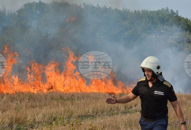 Хасково - пожар