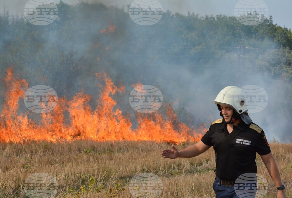 Хасково - пожар