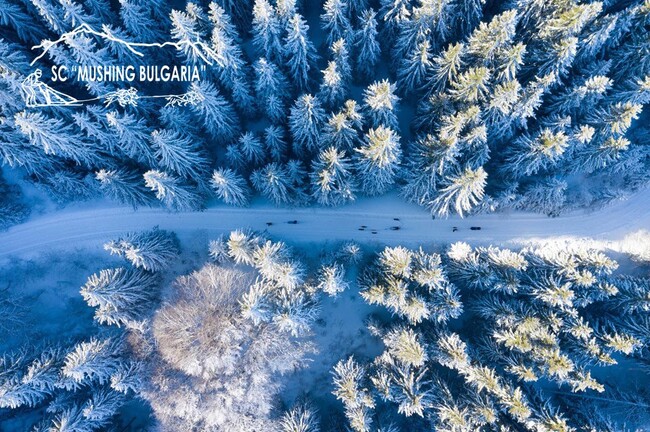 Спортен клуб Мъшинг България: Десет години юбилей на Клуба и XIII-то поред състезание за любителите на мъшинг спортове