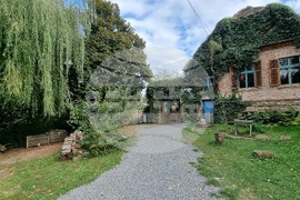 Румъния - Село Саскиз - къща - чайна