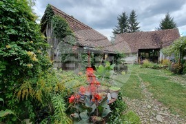 Румъния - Село Саскиз - къща - чайна