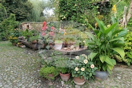 Румъния - Село Саскиз - къща - чайна