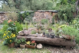 Румъния - Село Саскиз - къща - чайна