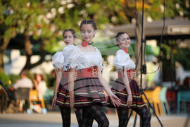 Благоевград - Камерна опера - концерт