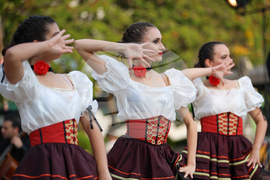 Благоевград - Камерна опера - концерт