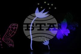 Девети кино-литературен фестивал „Синелибри“