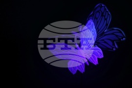 Девети кино-литературен фестивал „Синелибри“