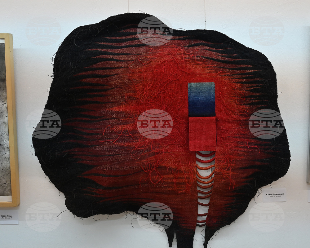 Монтана - Пета Национална изложба биенале „Тенец“