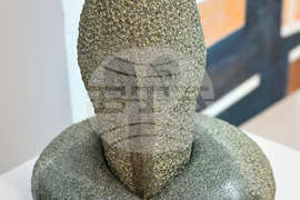 Монтана - Пета Национална изложба биенале „Тенец“