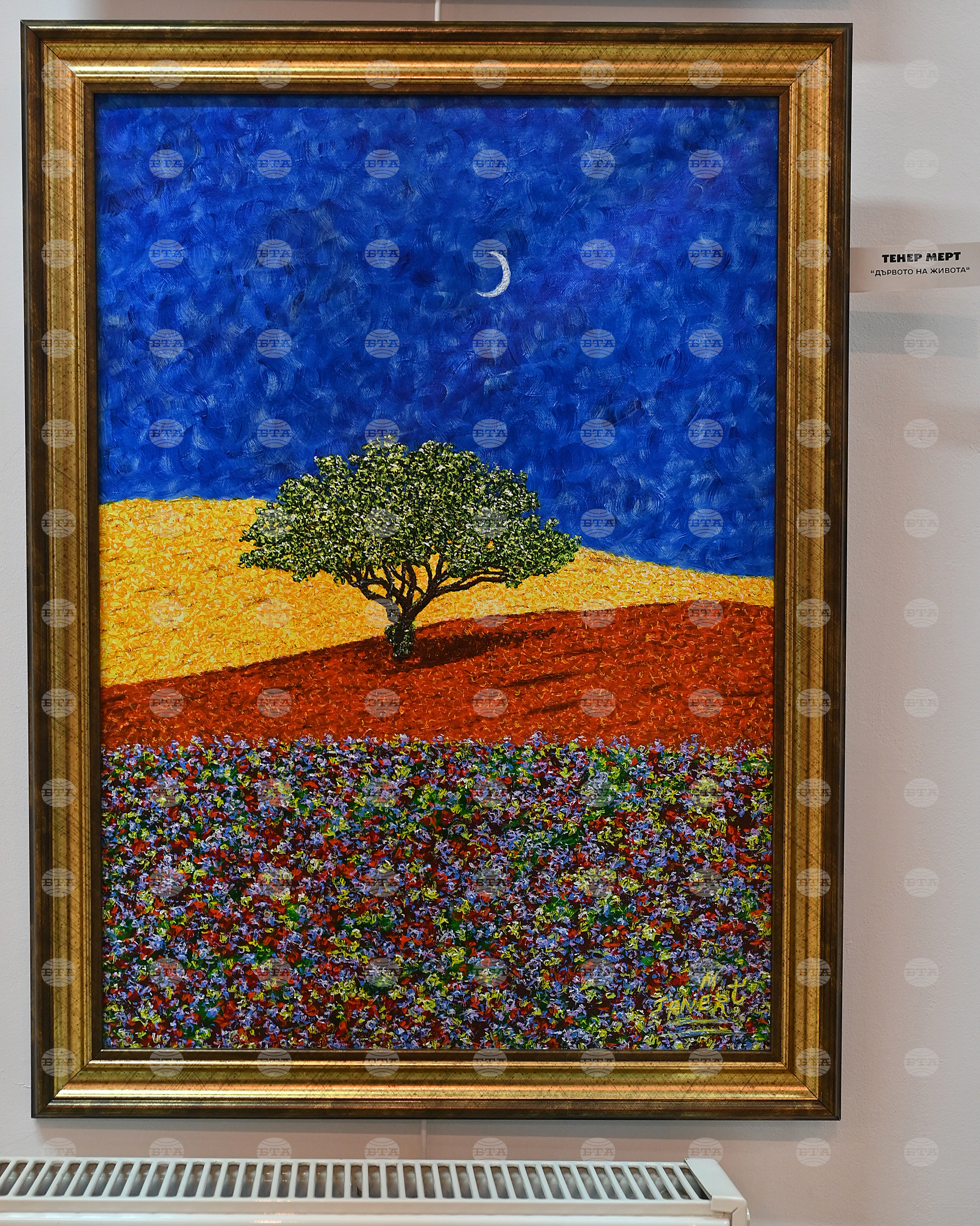 Монтана - Пета Национална изложба биенале „Тенец“