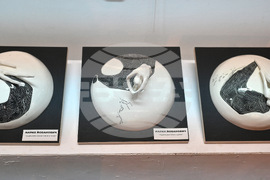 Монтана - Пета Национална изложба биенале „Тенец“