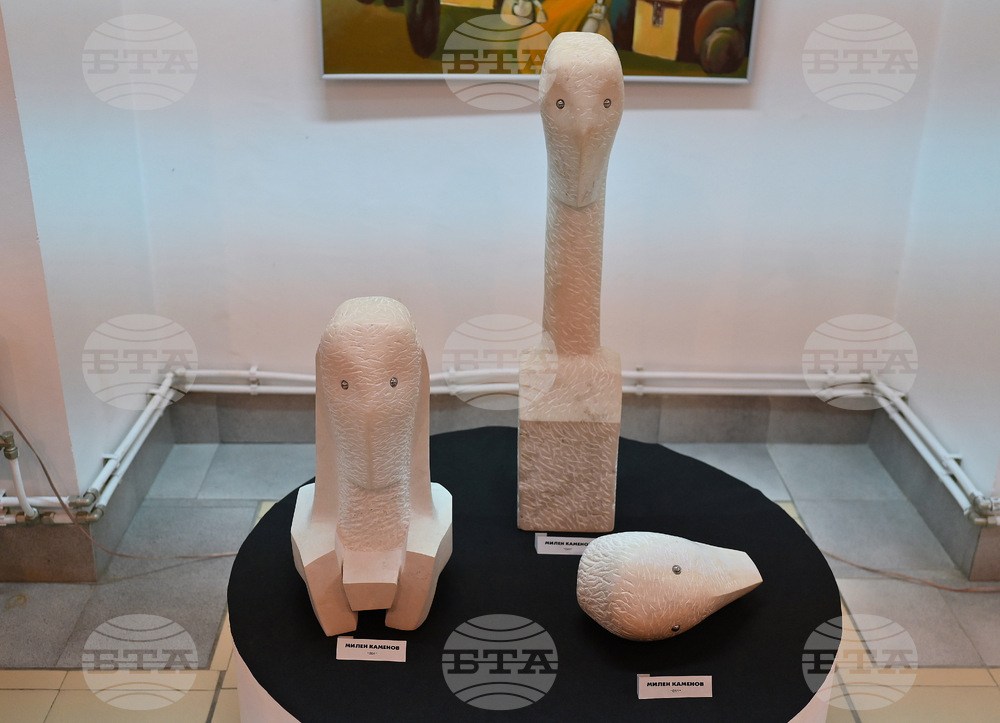 Монтана - Пета Национална изложба биенале „Тенец“