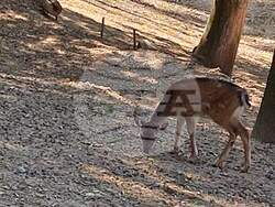 Снимка: Община Благоевград
