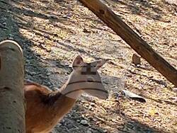 Снимка: Община Благоевград