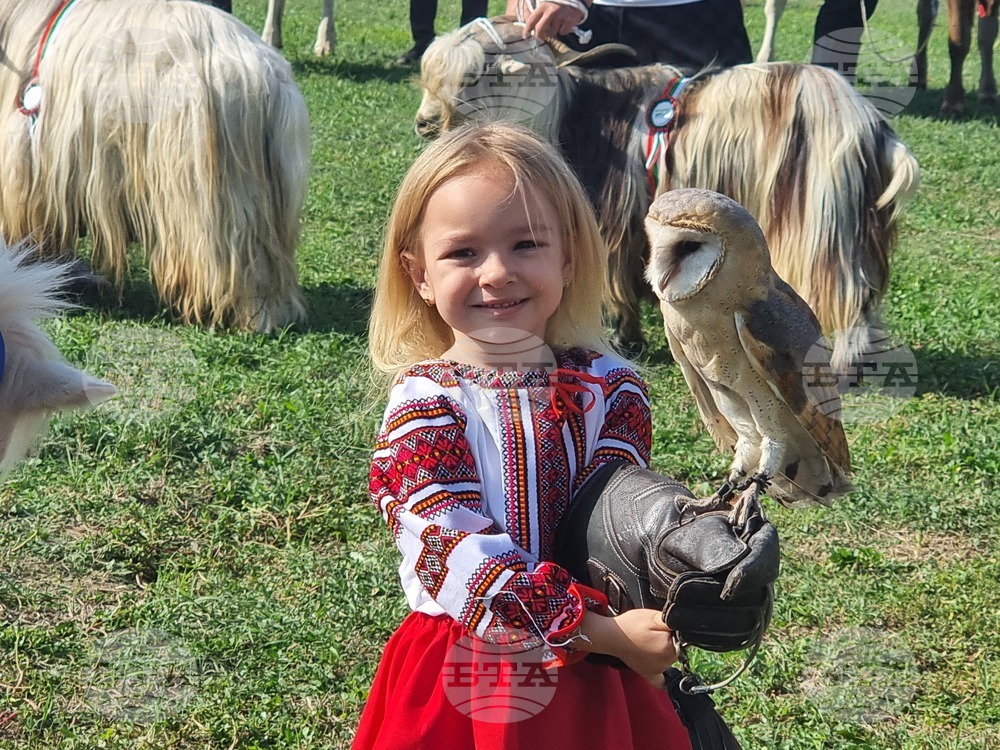 Четиригодишната Христа и забулената сова Химера бяха сред атракциите на Националното животновъдно изложение край Сливен