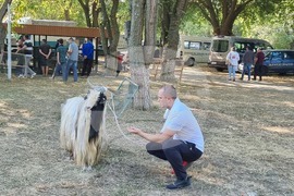 Село Мечкарево - Национално животновъдно изложение