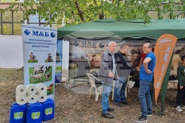 Село Мечкарево - Национално животновъдно изложение