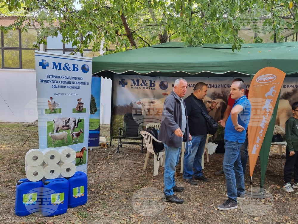 Село Мечкарево - Национално животновъдно изложение