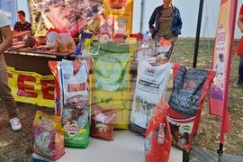 Село Мечкарево - Национално животновъдно изложение