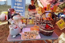 Село Мечкарево - Национално животновъдно изложение