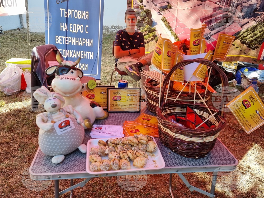 Село Мечкарево - Национално животновъдно изложение