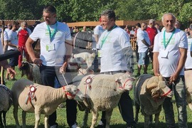 Село Мечкарево - Национално животновъдно изложение