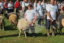 Село Мечкарево - Национално животновъдно изложение