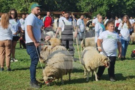 Село Мечкарево - Национално животновъдно изложение
