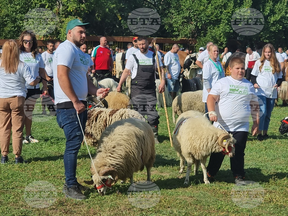 Село Мечкарево - Национално животновъдно изложение