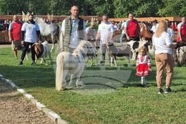 Село Мечкарево - Национално животновъдно изложение